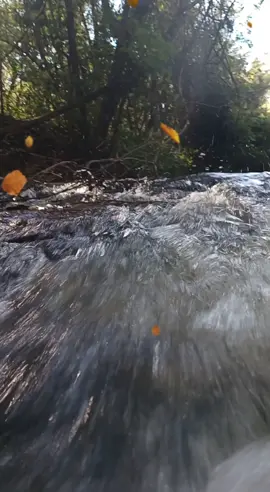 #reflexaododia  #Motivacional 