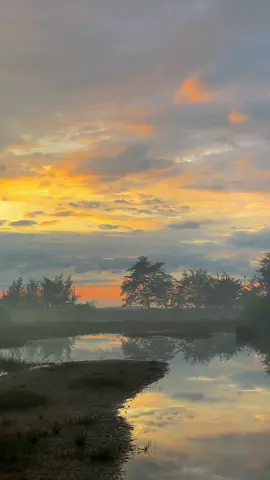 Ada yg suka lagu ini?