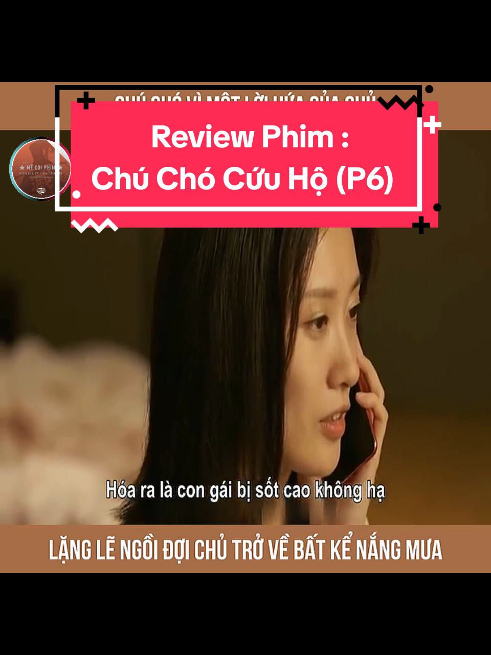 Reveiw Phim : Chú Chó Cứu Hộ (Phần 6) #phimhaytiktokk #reviewphim #tomtatphim #phimhay24h #phimhaymoingay 