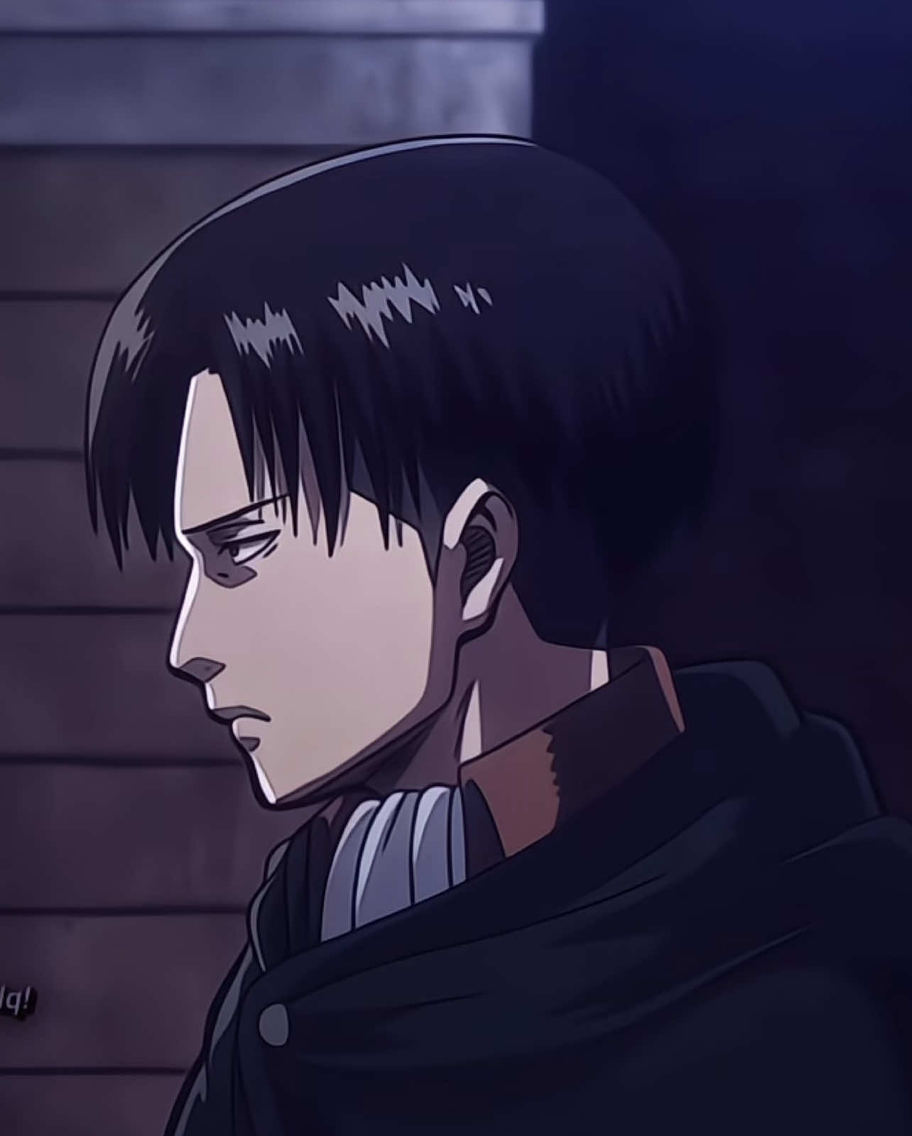 mất hết đồng đội là cảm giác gì? #dqyeager #leviackerman #AttackOnTitan #epasigma #twee_grp౨ৎ 