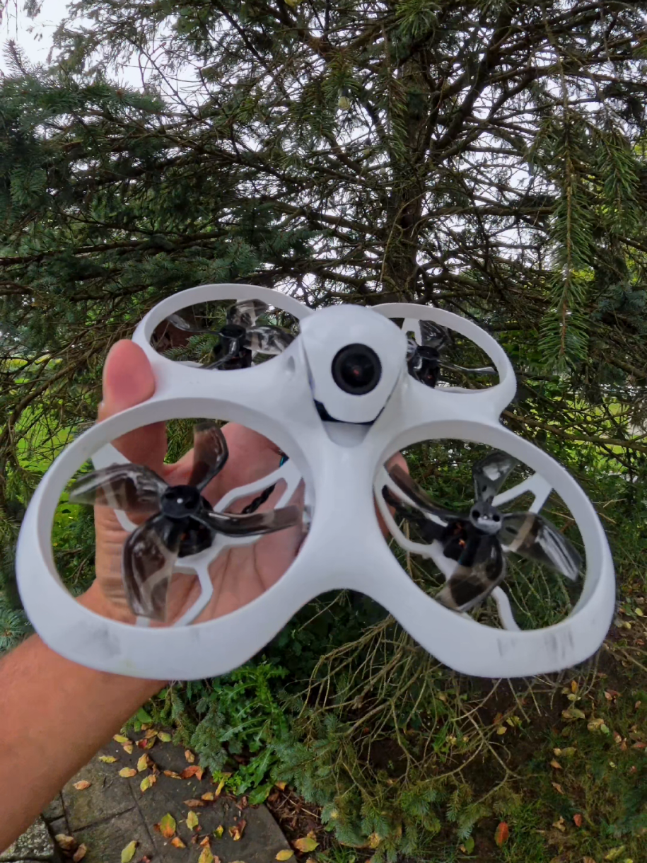 day 3 crashing until it breaks #fpvdrone #drone #betafpv 