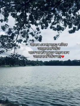 জীবনে একবার হলেও কাউকে ভালোবাসা উচিত যাতে আপনি বুঝতে পারেন কেন ভালোবাসা উচিত না:)💔 #bd #tiktok #foryou 