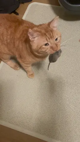 His face at the end looked as if he had been betrayed 😂 (ig: riplindictive)