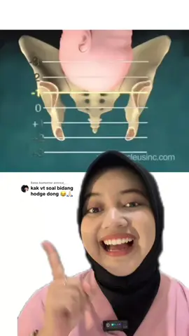 Membalas @annisal__ materi yang sering banget bikinn kita semua bingung nihhh✨ bisa disimakkk yaaa, semogaaa makin pahaamm💛  #bidanghodge #mahasiswabidan #kebidanan #bidan #edukasibidan 