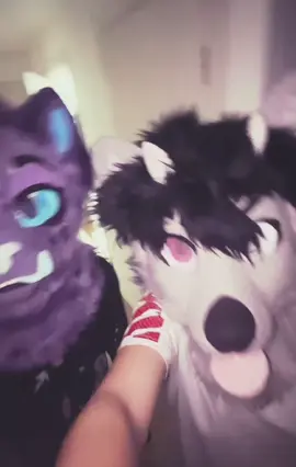 decided to take pictures in a fursuit @фыркалко 🐾#furry#fyp#furryrussian