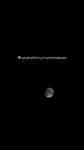 @🌚🤍 #گوهداربـــــــــــە🤍 😔🤍…