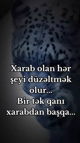 keşfet