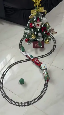 Christmas Train 🛤️🚂 #christmas #train #christmastrain 