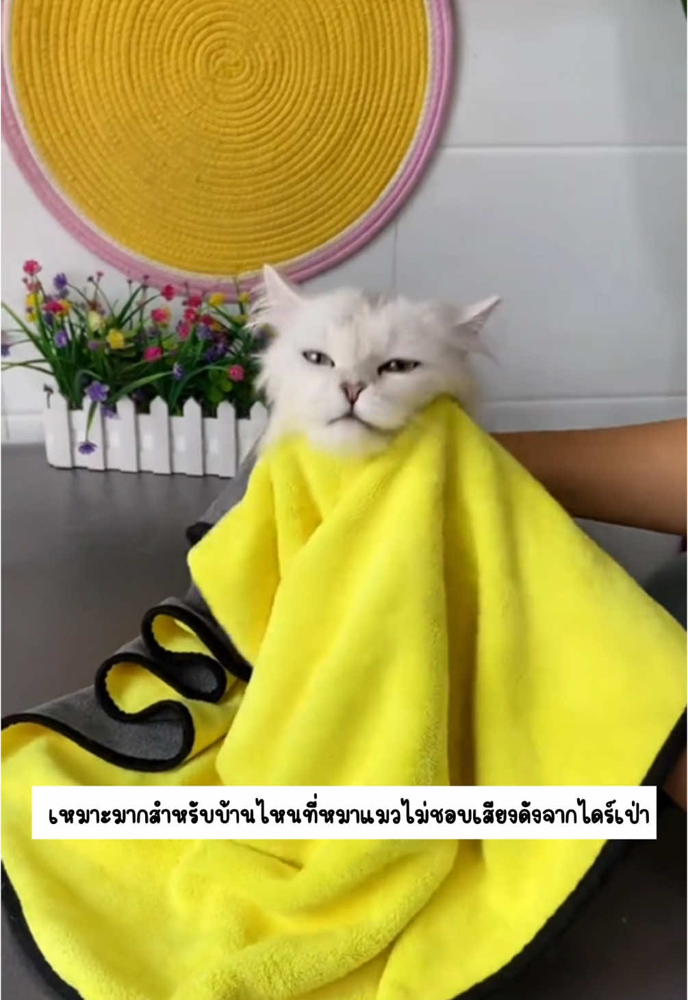 #ผ้าเช็ดตัวสัตว์เลี้ยง #ผ้าขนหนูสัตว์เลี้ยง #ผ้าเช็ดตัวหมาแมว #ผ้าเช็ดตัวแมว #ของใช้สัตว์เลี้ยง 