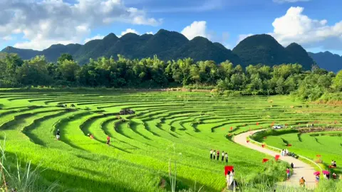 Luỵ nơi này rồi 🥰#vietnamtoiyeu #puluong #thanhhoa #tiktok #viraltiktok 