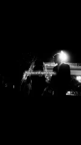 Lúc hoa tàn anh nhặt anh chăm...#nhacbuon #tamtrang #nhachaymoingay #tinhyeu #fbtxuhuong 