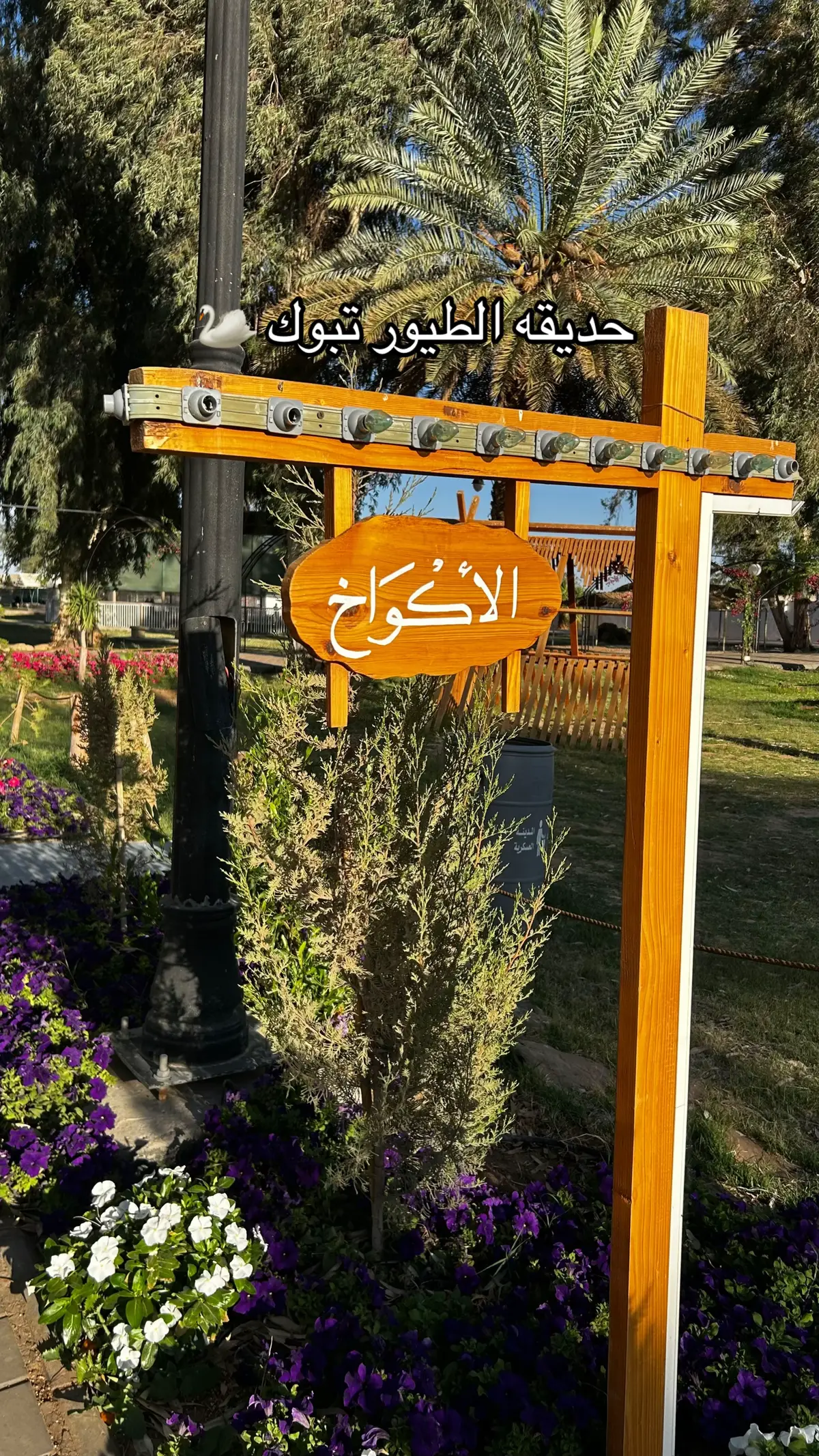 #حديقة_الطيور_تبوك #تبوك #تبوكنا #اكسبلورexplore #اكسبلور 