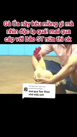 Trả lời @benhimotrangga 