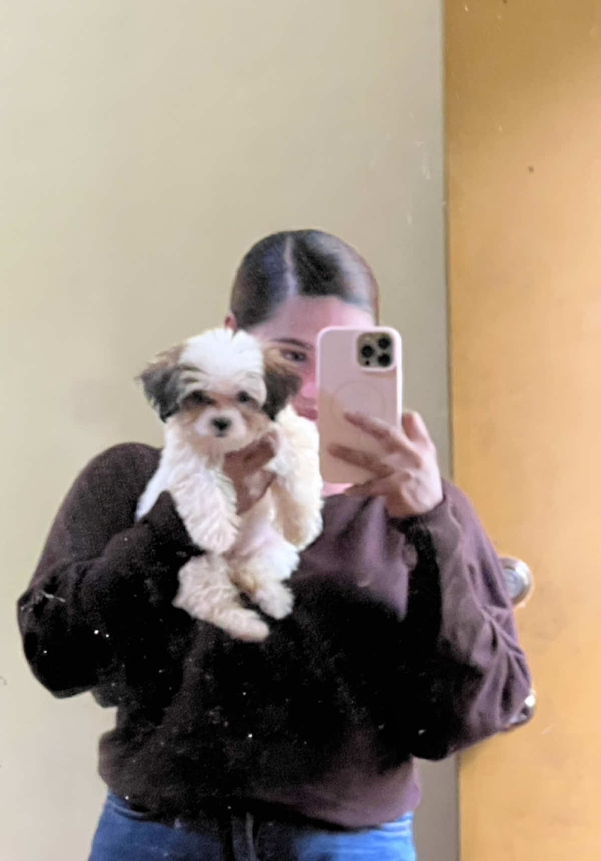 Proud fur mom, my Mochi finally learned ‘sit,’ ‘paws,’ and ‘spin.’ After so many failed attempts, consistent training really paid off 🐾 #happynationaldogday #furmom #shihpompuppies 