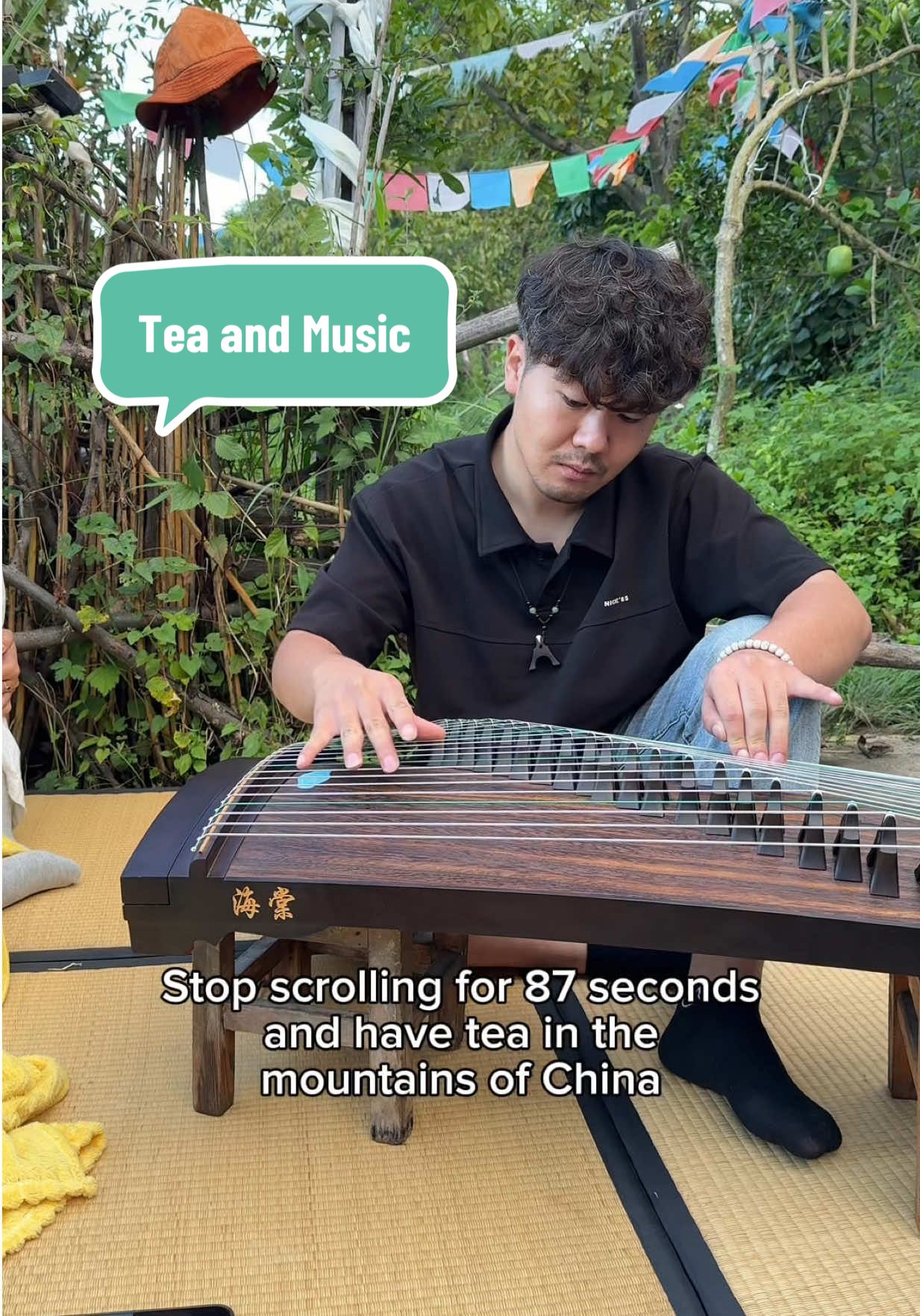 Listening to Guzheng in Dali, August 2025 #tea #china #music #mountains #calm
