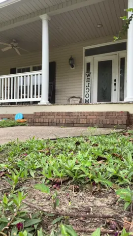 Walked out to a deer in the front yard, next shadow waits for the 👋 the kids give from the school bus💙then we had our quite time #huskymom #huskiesoftiktok #fyp #tuesday 