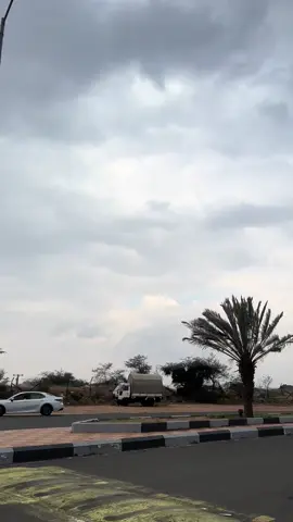 #اكسبلورexplore 