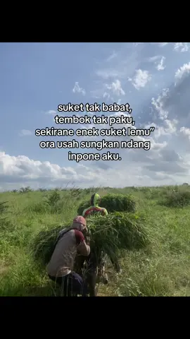 inponen wo siap meluncur.#tukangngaret #pernakmuda #sapiindonesia 
