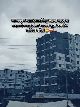 #akashcahcchu #আকাশচাচ্চু 