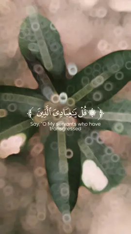 #fouryoupage #fouryou #fyp #videoviral #viral 