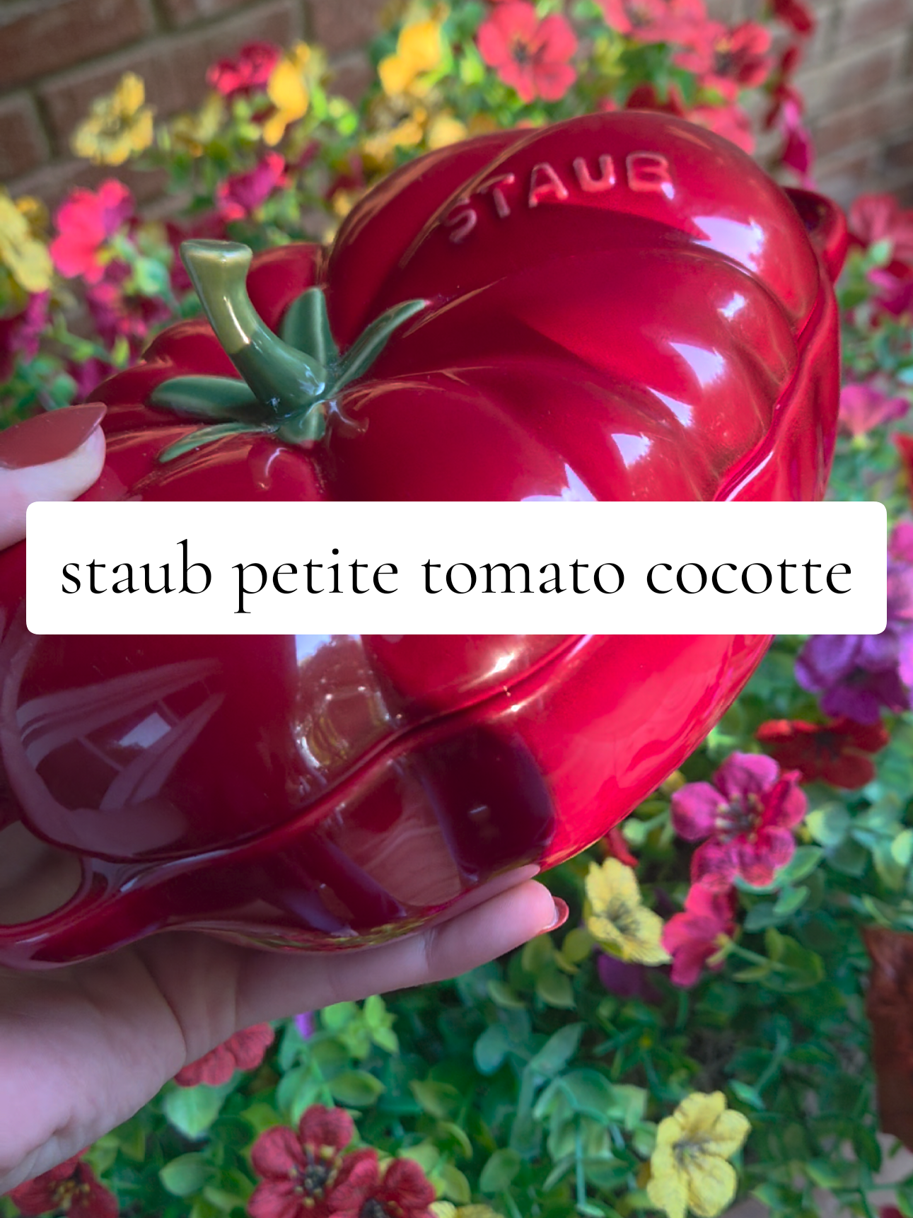 Instant dopamine everytime I see this in my kitchen 😍 Grab this beautiful staub petite cocotte before she's gone! 🍅🍅🍅 @STAUB USA  #cocotte #staub #cookware #kitchenmusthaves #tomato 