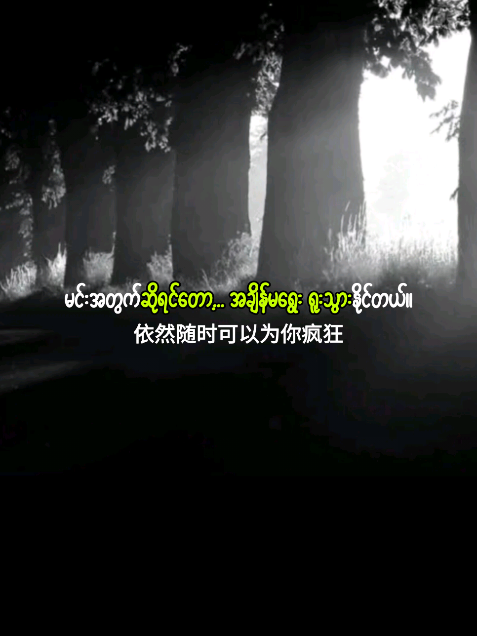 🌿🌸“အချစ်ကြောင့်… လွယ်လွယ်နဲ့ ဝမ်းမနည်းတော့ဘူး။ အဲဒါကြောင့်ပဲ… အရာအားလုံး ပျော်ရွှင်နေသလို ပုံရတယ်။ ဒါပေမယ့်… မင်းအတွက်ဆိုရင်တော့ အချိန်မရွေး… ရူးသွားနိုင်တုန်းပဲ ❤️” “Because of love… I no longer get sad so easily. And so… everything seems to shine with happiness. But still… when it comes to you, I could go crazy for you at any moment ❤️”  #LoveStory  #RomanticVibes  #BecauseOfLove  #HeartfeltMoments  #ForeverWithYou 