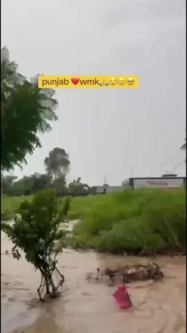 #drivermehkma🚚🚚🚚🚚🚨🚨🚨 #punjab #flood #sarbaat_da_bhalla🙏🙏 #wmk 