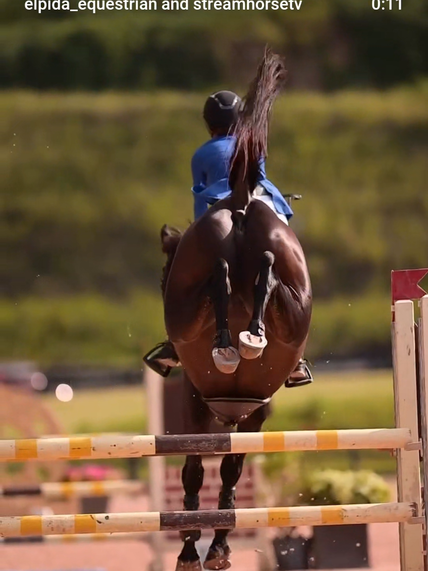 #TrainingTuesday 🐎💙 During the two week break between WEC and ESP’s Fall Shows for Athena & Bella, their focus has been on negotiating distances and maintaining straightness, especially in the combinations. As the heights go up, the importance of these two factors determines not only the rails staying up, but the quality of the jump and partnership between horse & rider. Thank you to @amg_equestrianllc for helping these two develop as true athletes! . pc: @katherinasciutov_photography 🥰🎥 @elpida_equestrian  . #elpidaequestrian #elpida #hope #showjumping 