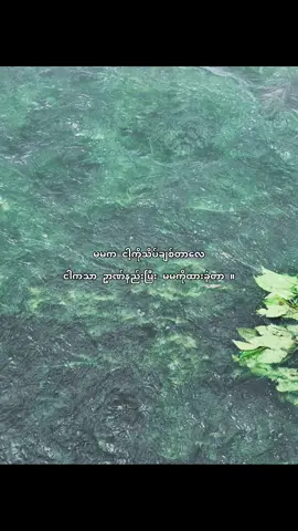 နောင်ဘဝကြရင် ငါသေချာပေါက် မမကိုပိုချစ်ပေးပါ့မယ်…