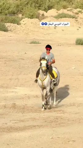 #شعب_الصيني_ماله_حل😂😂 #خيل_وخياله🐎 #الخيل_من_خيالها #صلوا_على_رسول_الله #اذكروا_الله 