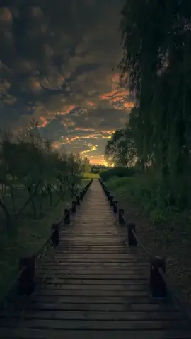 🩵🫂 #فتي_روبلوكس 