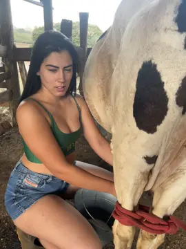 #vidanaroça #sertanejo #barretos #fyp #zezedicamargoeluciano 