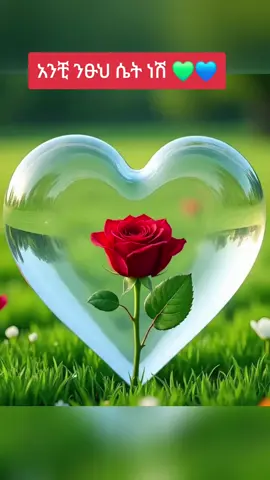 #አንቺ ንፁህ ሴት ነሽ#ፍቅር➻ብቻ🖇ፍቅር➻ብቻ❤🥀🔐 