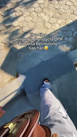 Petentang petenteng mantau cocok bayar, auto buka kios🤣🫵🏻#kicaumania #kicaumaniaindonesia #kicaumanianusantara #fyp #fy 