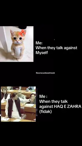 Hehe Real😁☝🏻 #shianeali #313 #trending #ahlybait #viral 