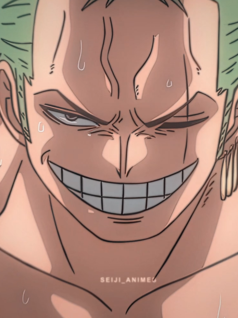 Zoro cortou o trem no meio❗️❗️| Song: Festa Louca (Slowed) | #zoro #zorororonoa #edit #onepiece #viral 