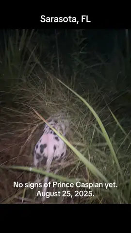 Search continues 