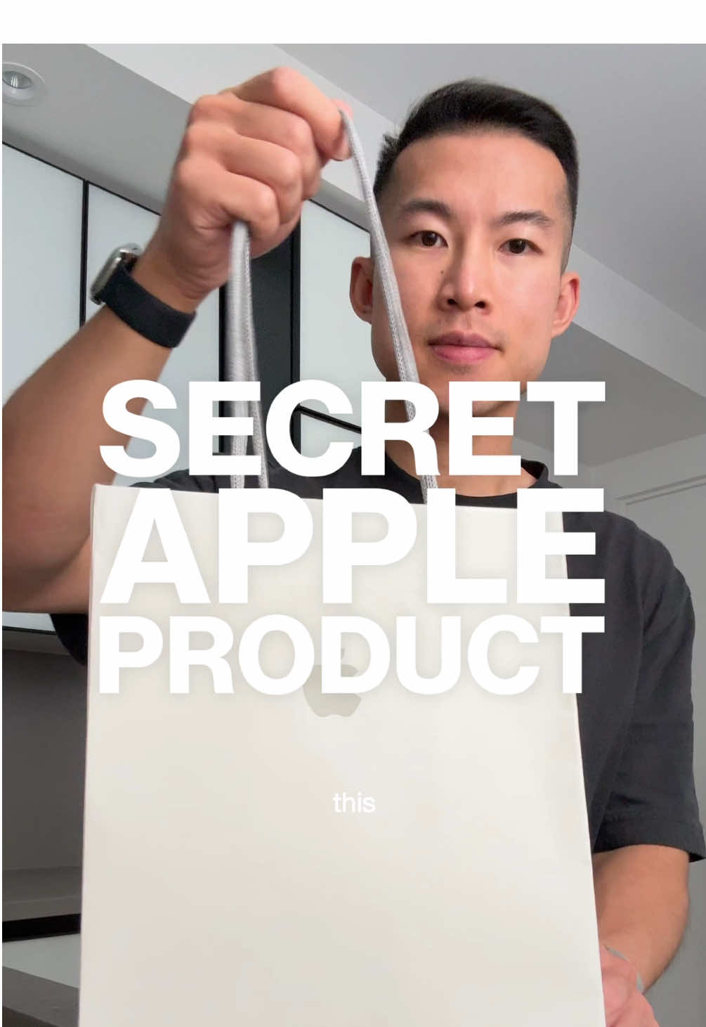 secret apple product? 👀 (hasami porcelain from apple park hq)  