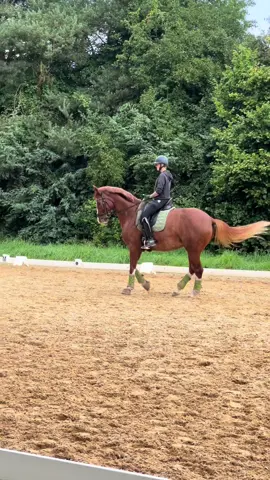Langsam glaube ich, dass die Pirouetten Millie‘s Lektion sein werden, mit der sie sich am meisten spielen wird. Klar, da fehlt noch Kraft, aber wie oft reiten wir ganze Pirouetten? Wir arbeiten noch immer viel am Galopp. Das Hinterbein muss noch aktiver werden und da muss ich Millie auch noch sehr unterstützen. Das ist auch der Grund dafür, weshalb die Wechsel nicht durch werden wollten. Aber unsere Quote wird immer höher. Im Moment sind meistens von 2 Wechseln 2 durch🎉  