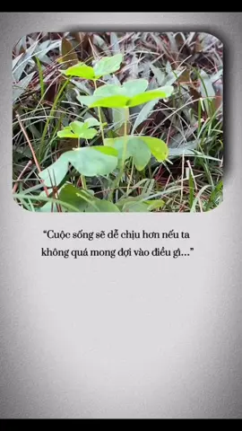#duet cùng @Diệu Tịnh 🍀 