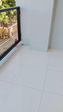 cukup pake ini #paramorina #temantumbuhanak 