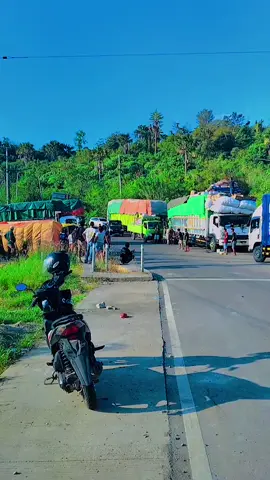 ff djaya trans 😎 #truckcakepntt #sororantiktok 