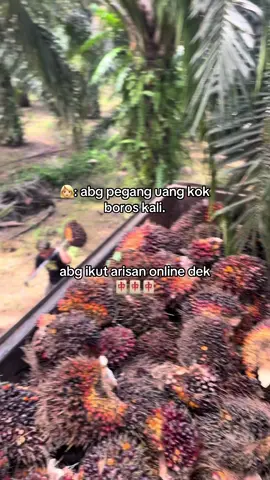 ntah kapan tapi dek narik nya #promomakangajian #fyp #fypviralシviral #xyzbca 