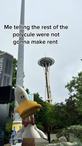 I am moving there next year so follow me and maybe we can go in on a studio together #seattle #portland #poly #nm #enm 