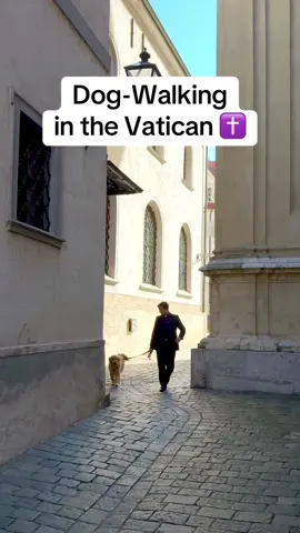 What breed is this Vatican dog? ✝️ • #sanctusdelicti #sketchcomedy #comedy #vatican #catholic 