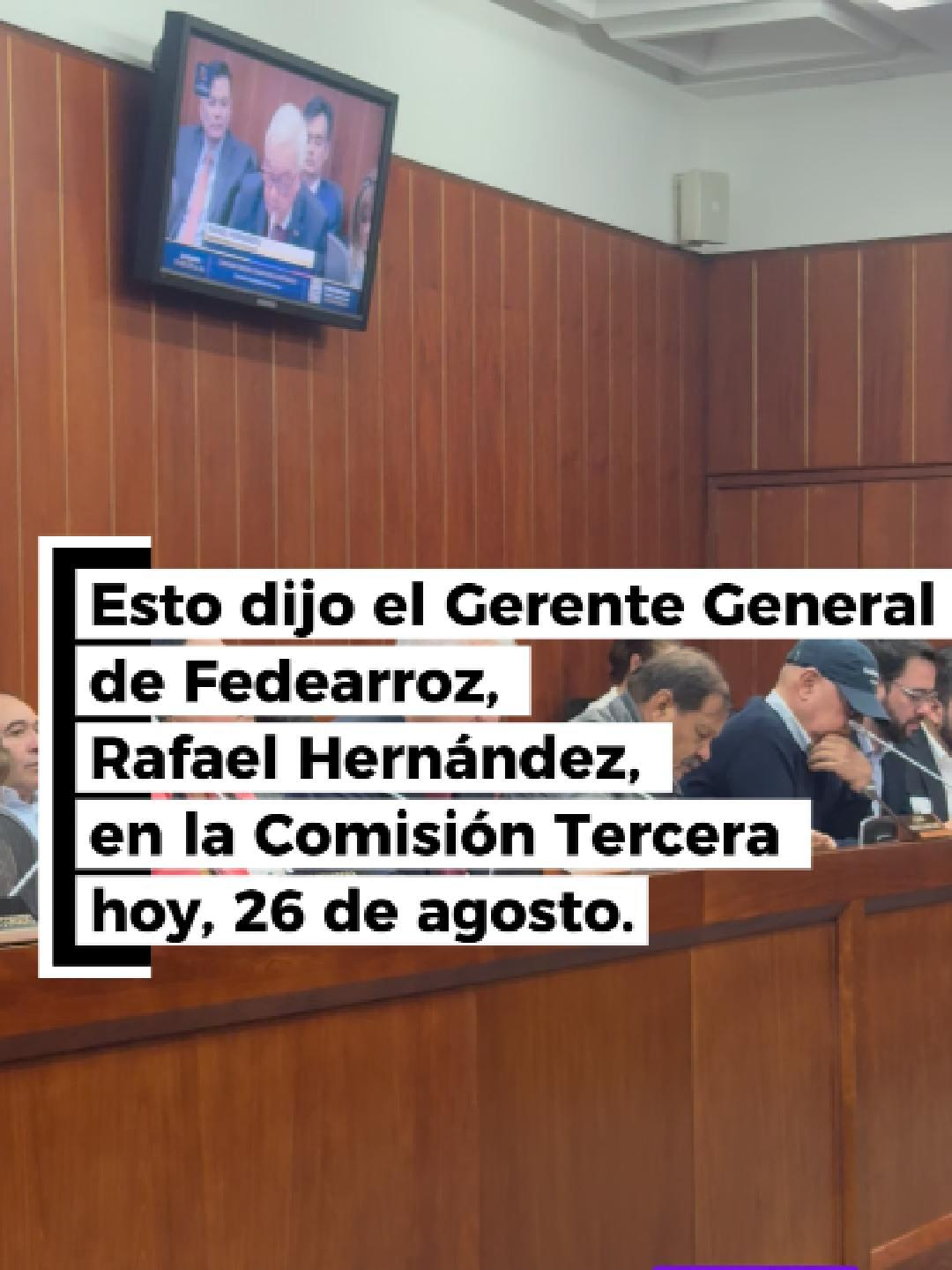 En la comisión sobre el arroz, Rafael Hernández, gerente de @fedearrozgremio, pidió medidas urgentes: garantizar la estabilidad del sector, asegurar la comercialización de la cosecha, proteger a los productores y abrir acceso a créditos de maquinaria agrícola. Todo para ser más competitivos y productivos. #Colombia #Senado #paroarrocero #arroz #casanare @minagriculturacol @gustavopetrooficial