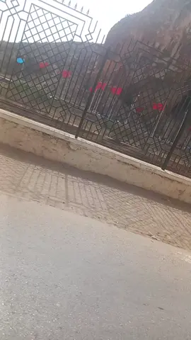 @momou13 #♥️💋♥️💋♥️💋♥️💋🥰😘🥰😘🥰 