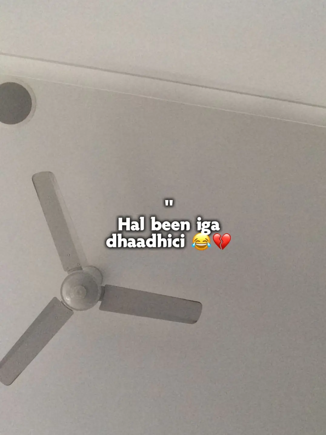Love sarrrrrrr..🫶🏾❤️ #flypシ #foryoupage #jawi_bila🌊❤️🌴 #somalilyrics🌺😕💎 #viral 