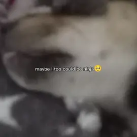#CapCut 
