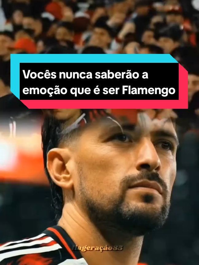 Vocês nunca saberão a emoção que é ser Flamengo❤️#flamengostatus #flamengo #arrascaeta #nacaorubronegra #skillsfootball 